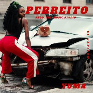 Perreito