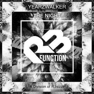 The Night (Original Mix)