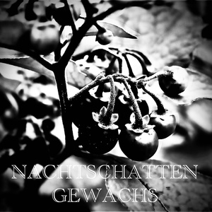 Nachtschattengewächs