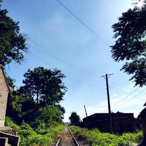 Sunny Day 的故事