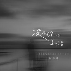 没有你的生活