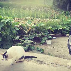 在雨后醒不过来