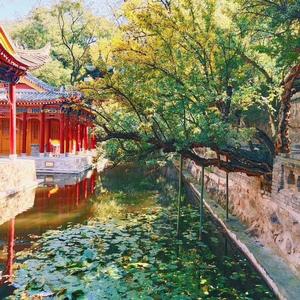 空山新雨后（翻自 锦零）