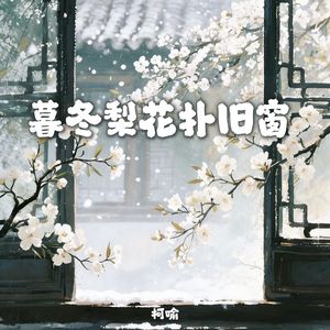 暮冬梨花扑旧窗