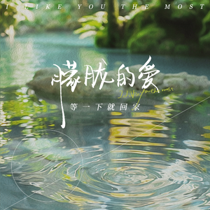 朦胧的爱（I Like You The Most）