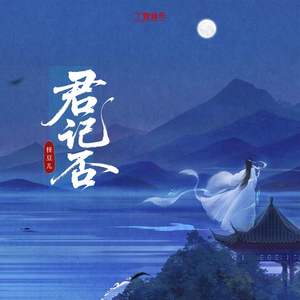 君记否（DJ版）