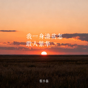 我一身清贫怎敢入繁华