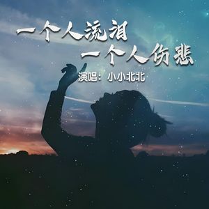 一个人流泪 一个人伤悲