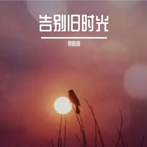 城市里的小梦想者