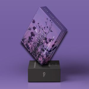 Gray x Chill R&B Guitar Type Beat "Violet"