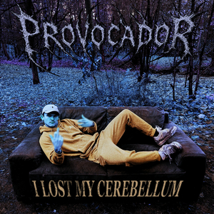 I Lost My Cerebellum
