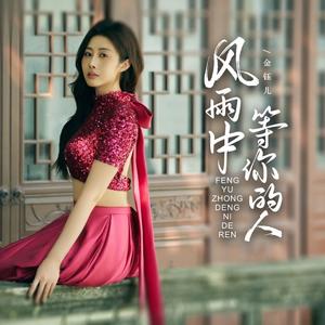 风雨中等你的人 (DJ京仔版)