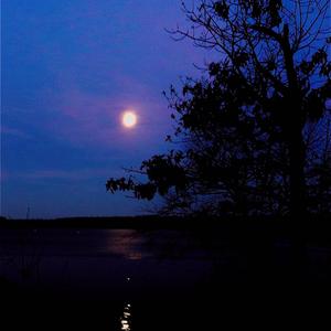 Come my way (feat. Lil while)