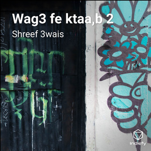 Wag3 fe ktaa,b 2