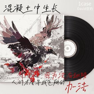 混凝土中生长