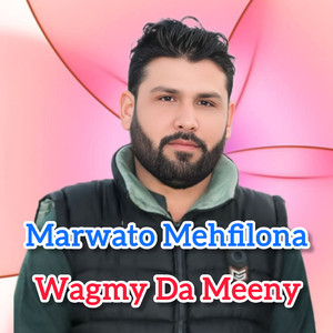 Wagmy Da Meeny