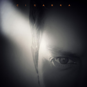 Cigarra