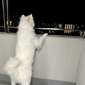 All Ain't Well, Ya Know