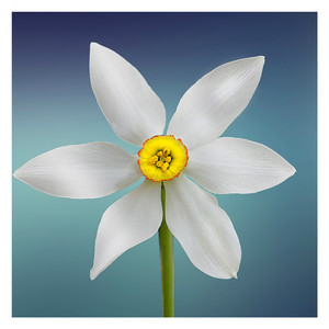 Dormir Mejor (Original Mix)