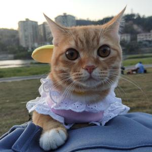 靠近一点点（翻自 赵捅捅）