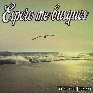 Espero Me Busques