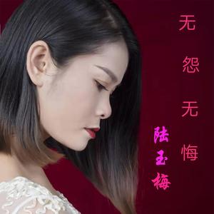 无怨无悔 (伴奏)