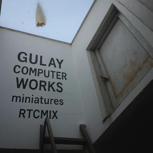 What Is It Like to Be a Bat?