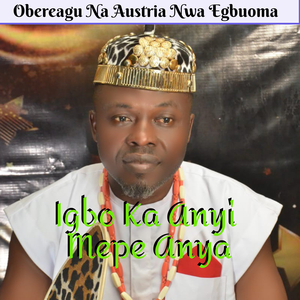 NDIDI BU OGWU UWA