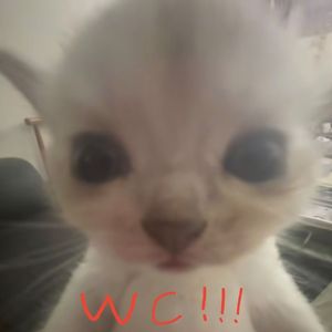 不应该冷漠!///Sped Up(harui&foreverlost)