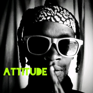 ATTITUDE