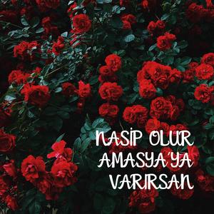 Nasip Olup Amasya'ya Varırsan
