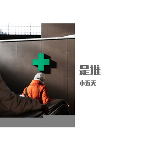 是谁（致2020冠状病毒疫情）