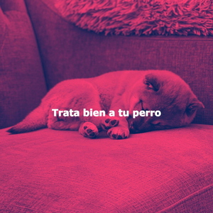 Simple (Chill Nights)