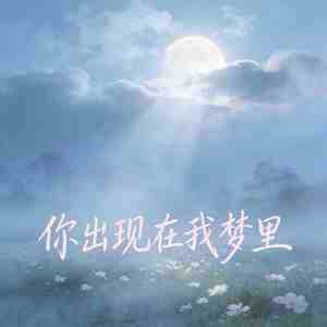 你出现在我梦里