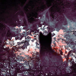 我也曾经想过这样杀了我自己