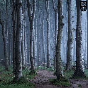 Hike the Night Trail