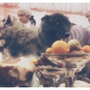 Paradise for Parasites