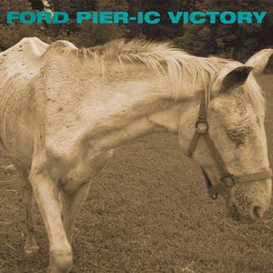 Diaphanous Hairshirt