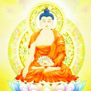 毗卢遮那佛心咒