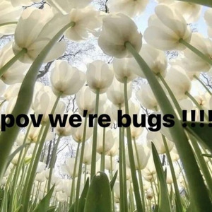 Mafia Music (slowed)