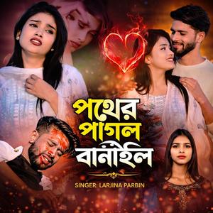 পথের পাগল বানাইলি