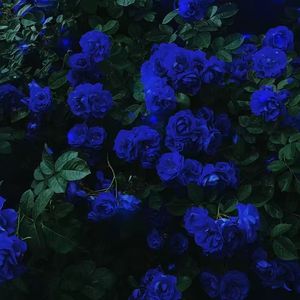 045.mp3-美梦pt.2 remix（045.mp3 remix）