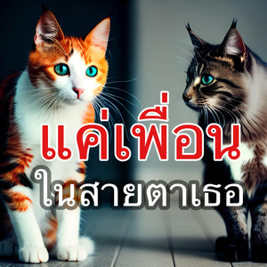 แค่เพื่อนในสายตาเธอ