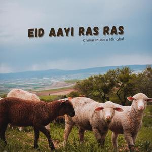 Eid Aayi Ras Ras (feat. Mir Iqbal)