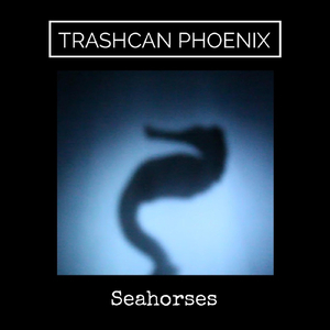 Seahorses