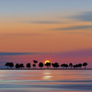 大雾（翻自 未知因素）