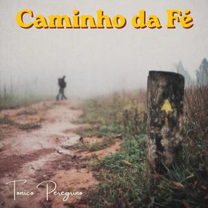 Crisólia → Ouro Fino