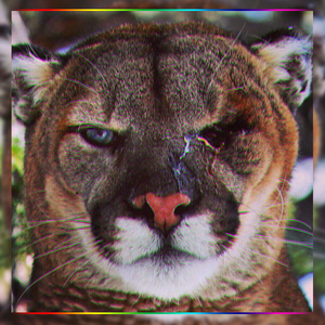 Poka