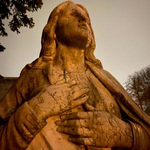 from the land freestyle