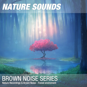 Nature Sounds for Sleep & Relaxation (Calm forest, water noise, brown noise) 01
